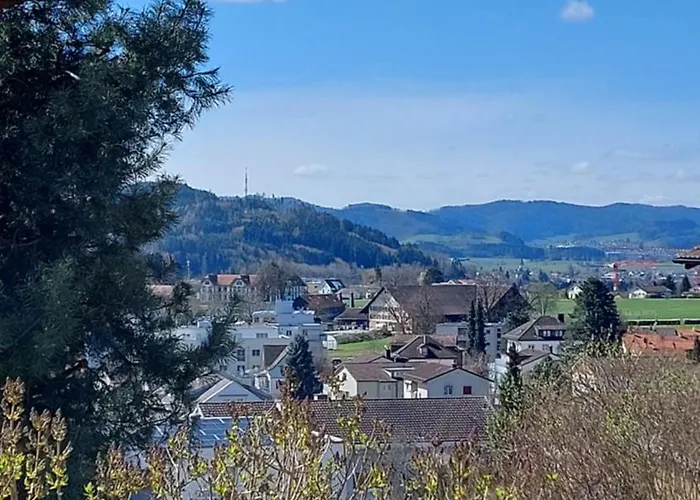 Renovierte 4,5-zi-wohnung Mit Parkplatz In Ruhiger Lage - 90m2 Wil (St. Gallen)