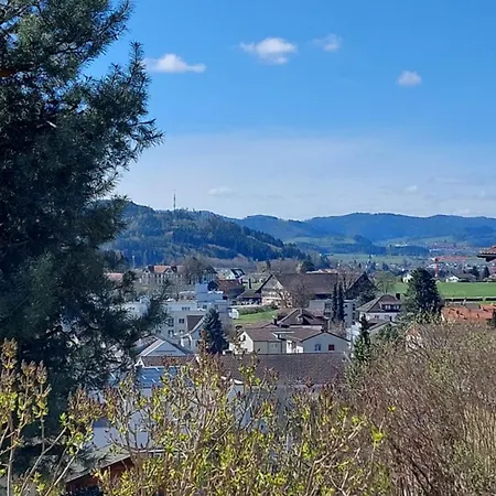 Renovierte 4,5-zi-wohnung Mit Parkplatz In Ruhiger Lage - 90m2 Wil (St. Gallen)